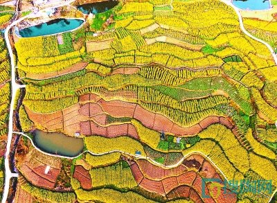 綠色發(fā)展，讓中國更美麗